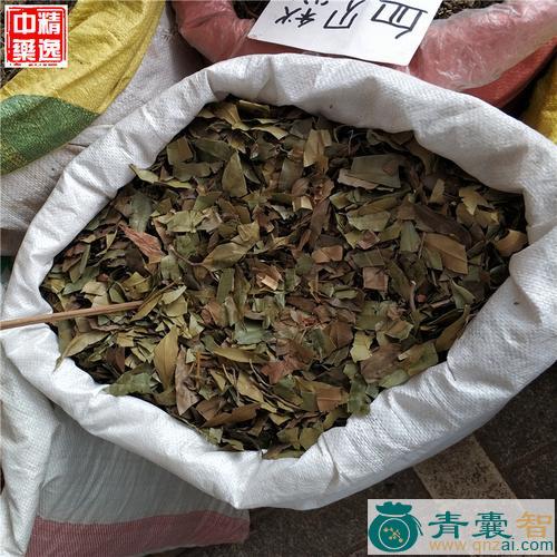 中药材跌打将军图片