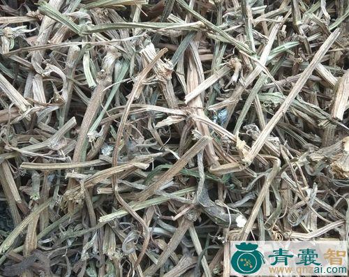 中药材跑路杆子图片