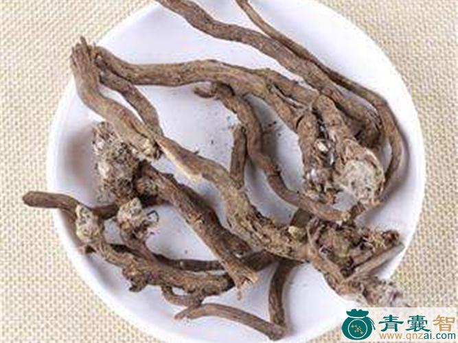 踵瓣芹的性味归经以及功效用法和注意事项-青囊智