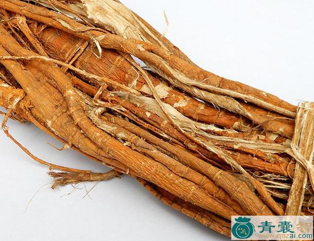 中药材车桑仔根图片
