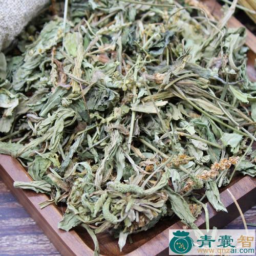 中药材车轱辘菜图片