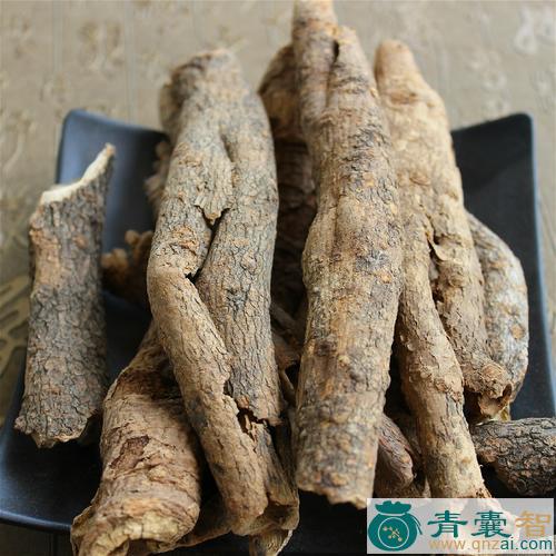 中药材轮伞五加图片