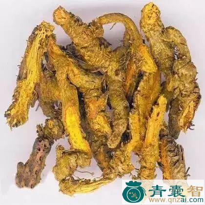中药材软水黄连图片
