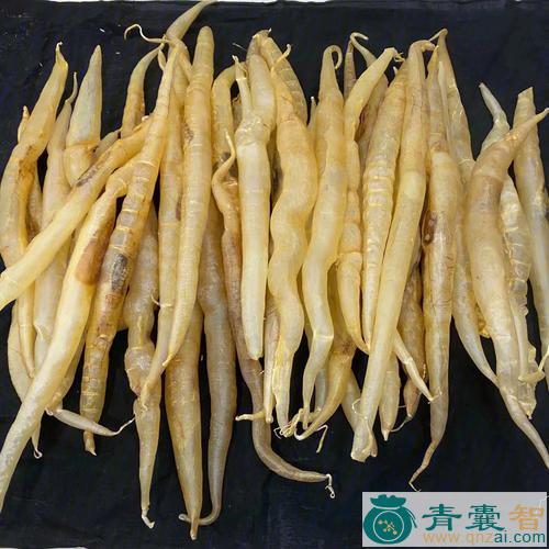 中药材软黄花金魁图片