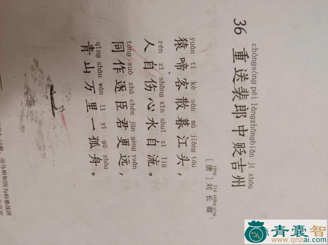 中药材载君行图片