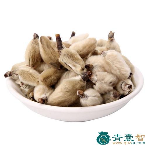 辛夷的性状性味归经以及功效用法和注意事项-青囊智