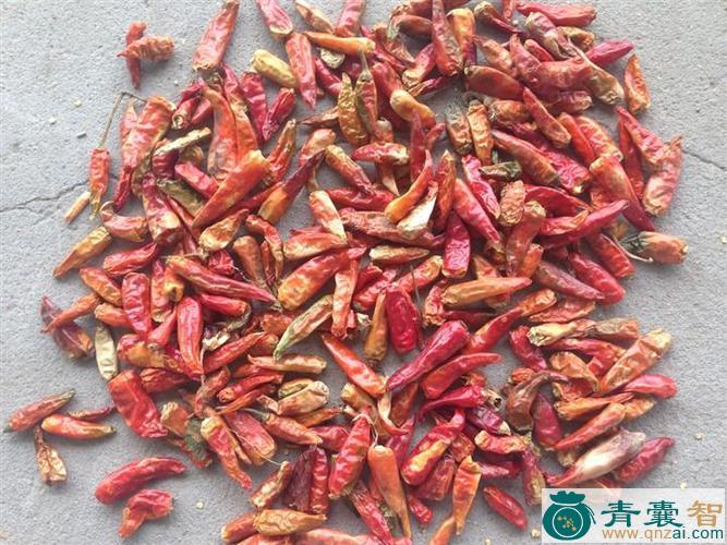 辣椒七的性味归经以及功效用法-青囊智