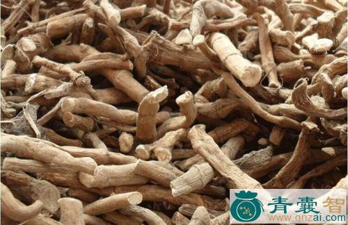 中药材辫子草根图片