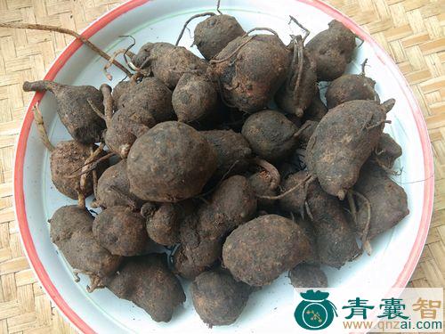 中药材达折合巴图片