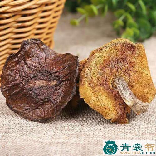 中药材达浪吐鲁图片