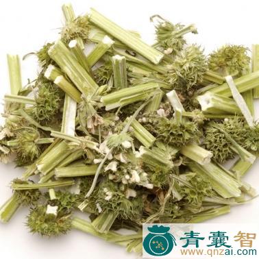 过饥草的性状性味归经以及功效用法-青囊智