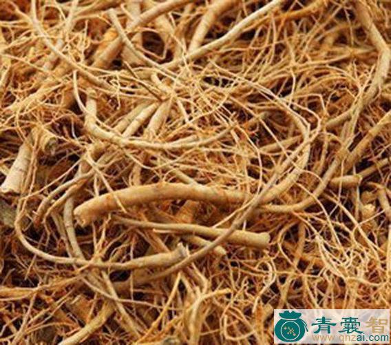 中药材连根草图片