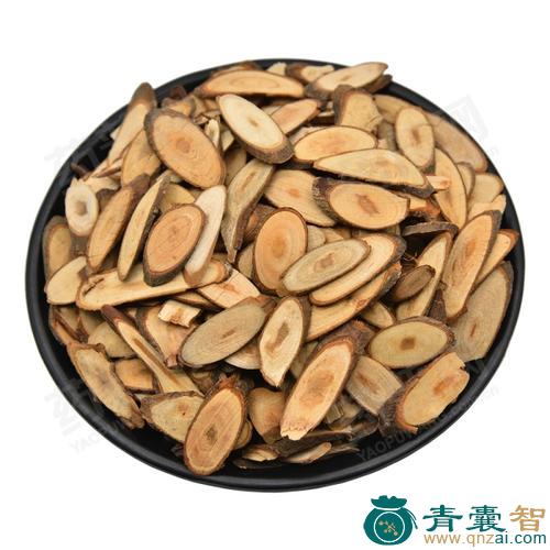 中药材连生桂枝图片