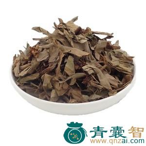 追风伞的性味归经以及功效用法-青囊智