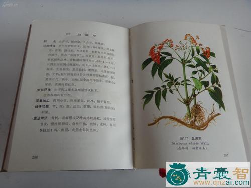 中药材选图片