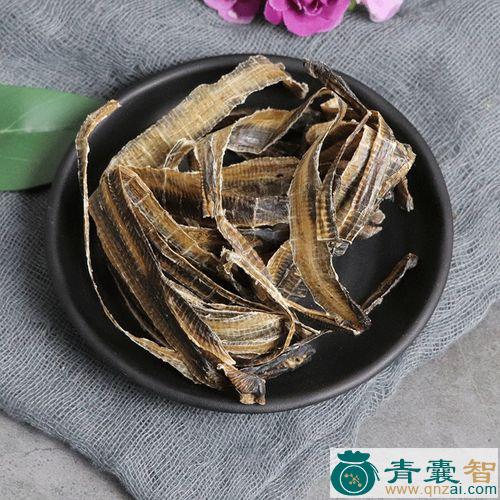 中药材透地龙图片
