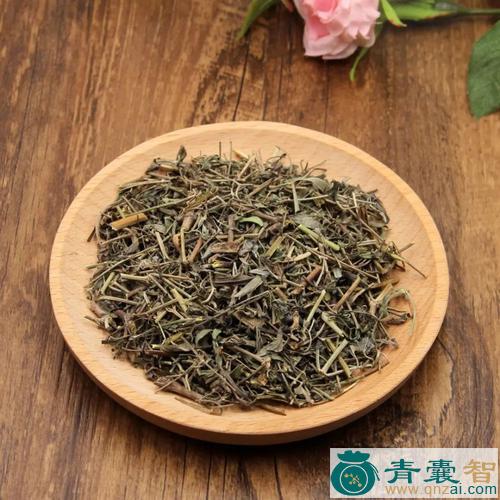 中药材透骨草狗肠草图片