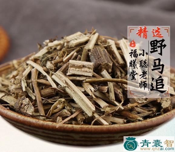 中药材逐马图片