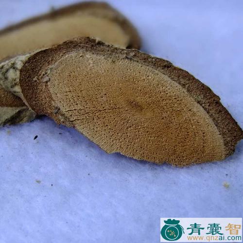 中药材通气香图片