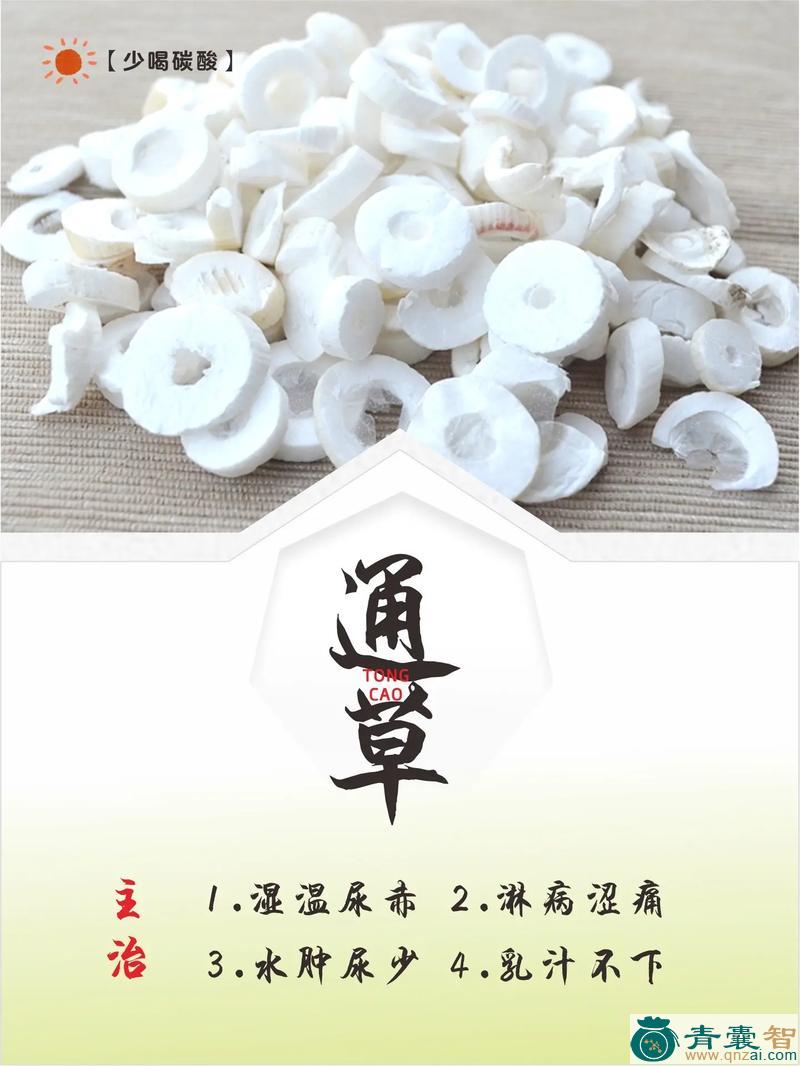 中药材通脱木花上粉图片