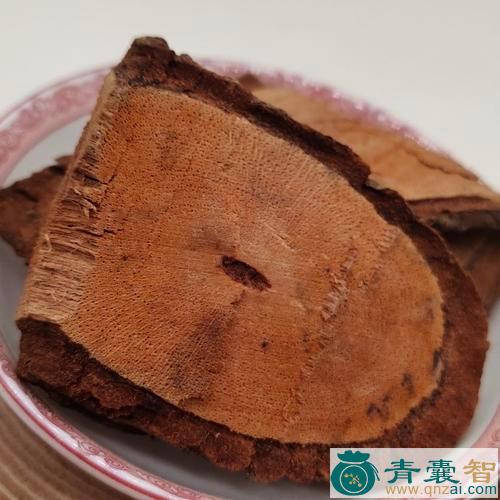 通血图的性味归经以及功效用法-青囊智