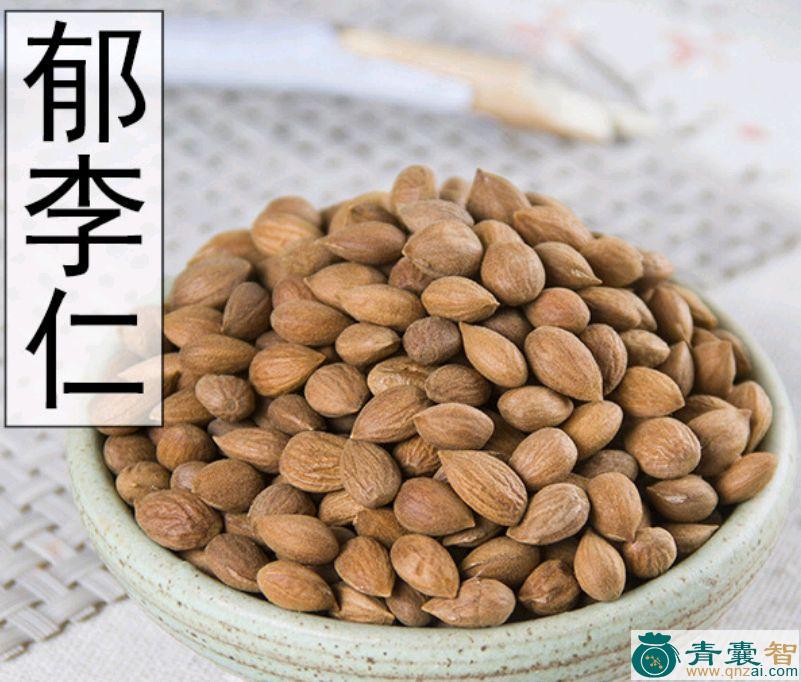 郁里仁的性状性味归经以及功效用法和注意事项-青囊智