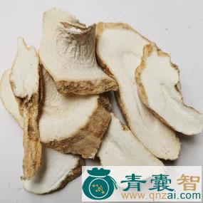 中药材郎伞图片