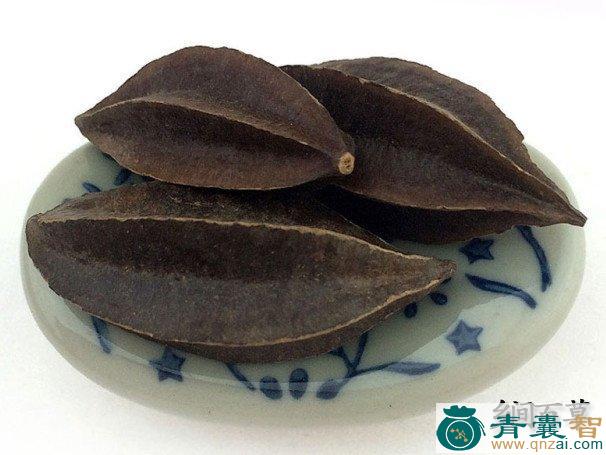 中药材郎君子图片
