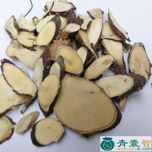 中药材都哥杆图片