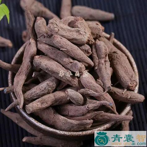 中药材都拉参图片