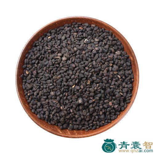 中药材鄜延脂图片