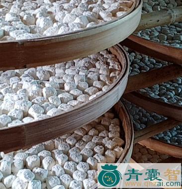 酒饼子公的性状性味归经以及功效用法和注意事项-青囊智