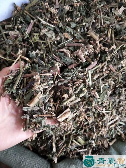 酪奴的性味归经以及功效用法和注意事项-青囊智