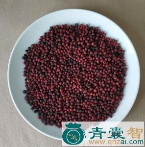 中药材酸批子图片