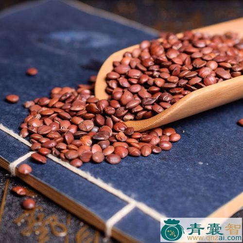 中药材酸枣图片