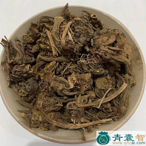 酸模的性状性味归经以及功效用法-青囊智