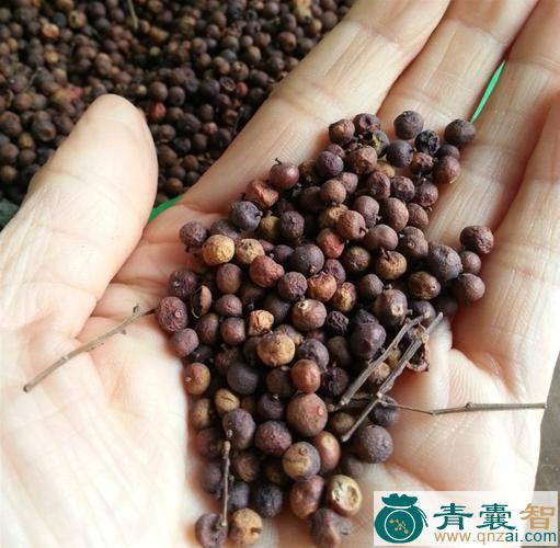中药材酸草果图片
