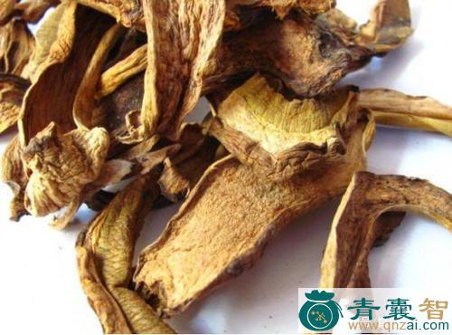 酸酱菌的性状性味归经以及功效用法-青囊智