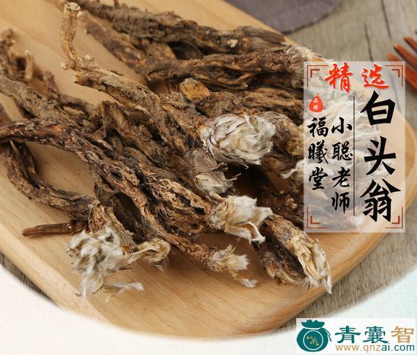 野丈人的性状性味归经以及功效用法和注意事项-青囊智