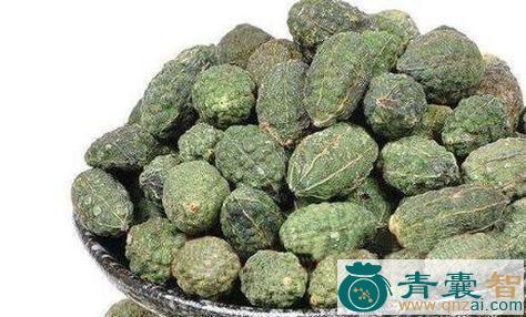 中药材野人瓜图片