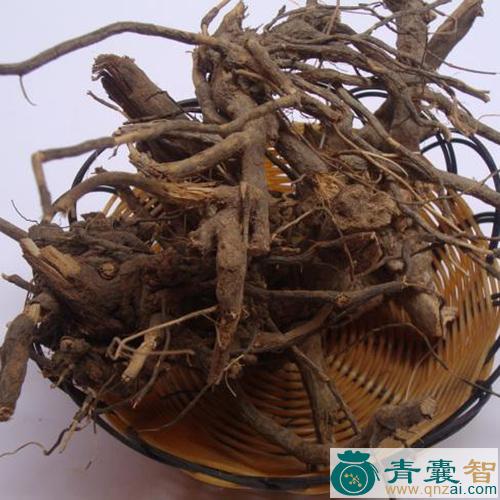 中药材野兔毛图片