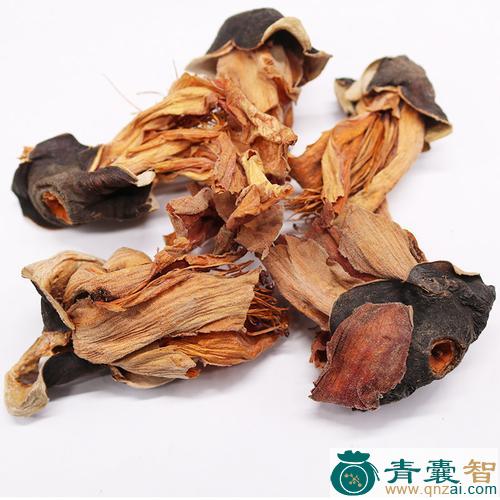 野木棉的性状性味归经以及功效用法-青囊智