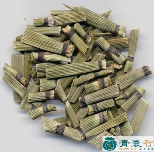 中药材野木贼图片