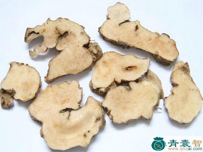 中药材野木鱼图片