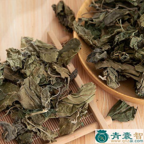 中药材野桑叶图片