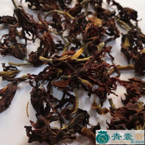 中药材野玉兰花图片