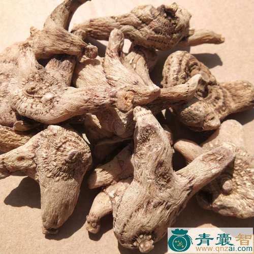 中药材野白芨图片