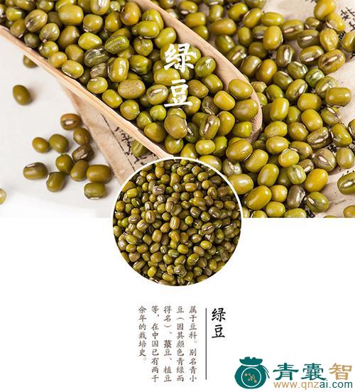 野绿豆的性状性味归经以及功效用法-青囊智
