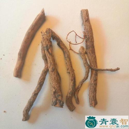 中药材野花椒根皮图片