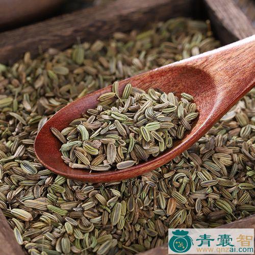 中药材野茴香图片